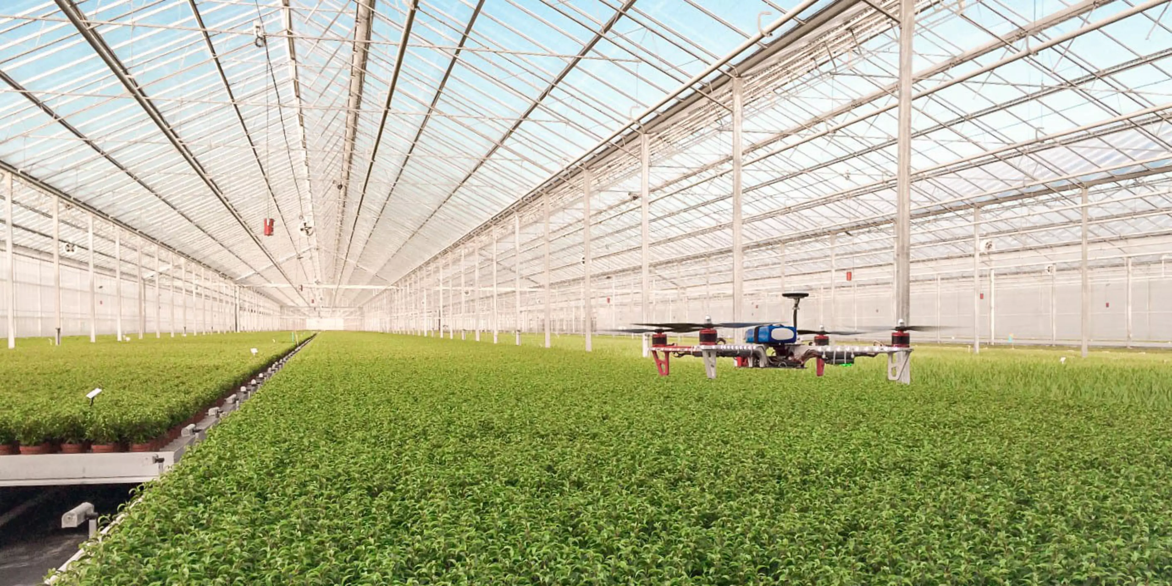 Agricultura de precisión en invernaderos